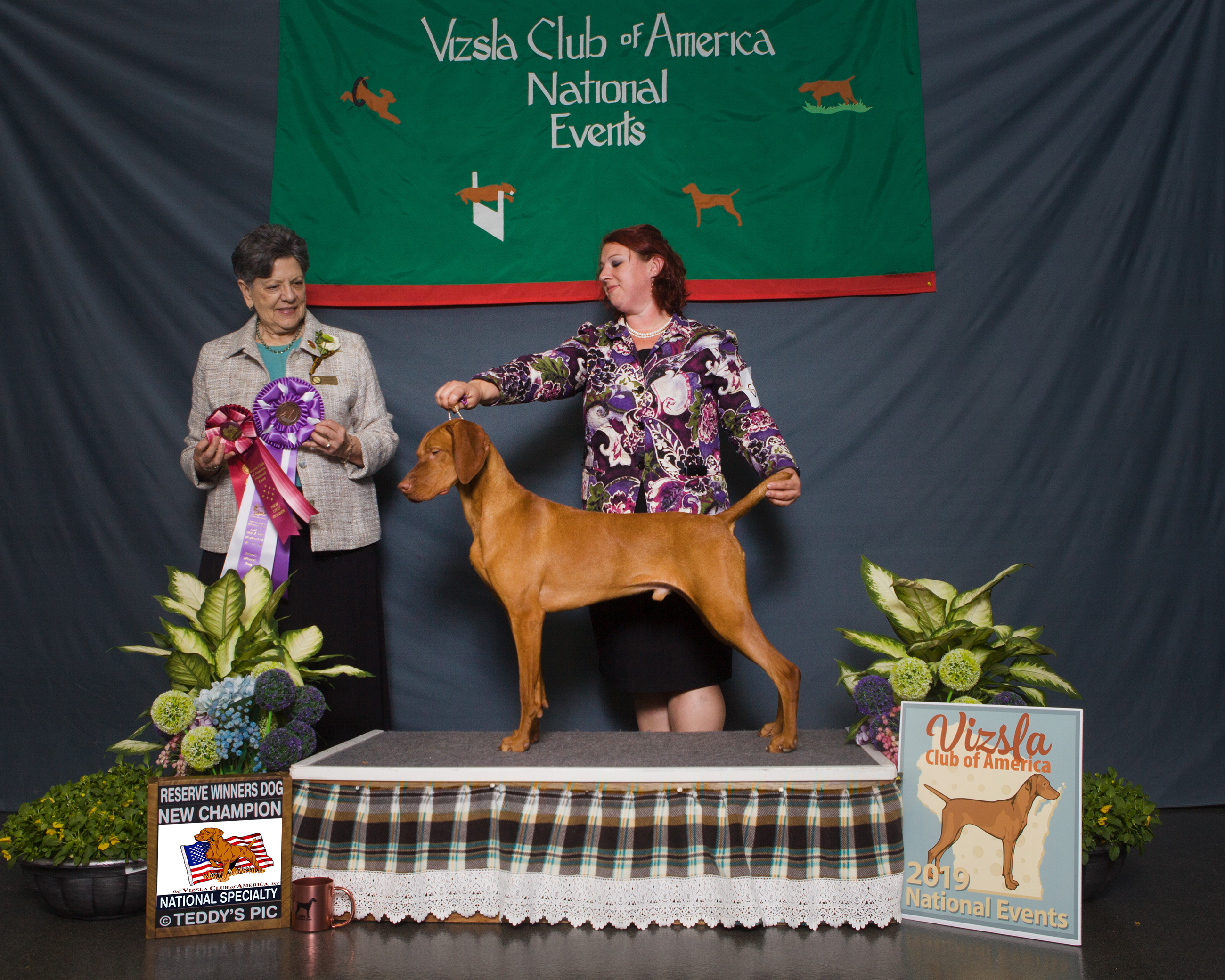 Paddy wins at the 2019 VCA National Event!